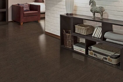 Kamštienos laminatas